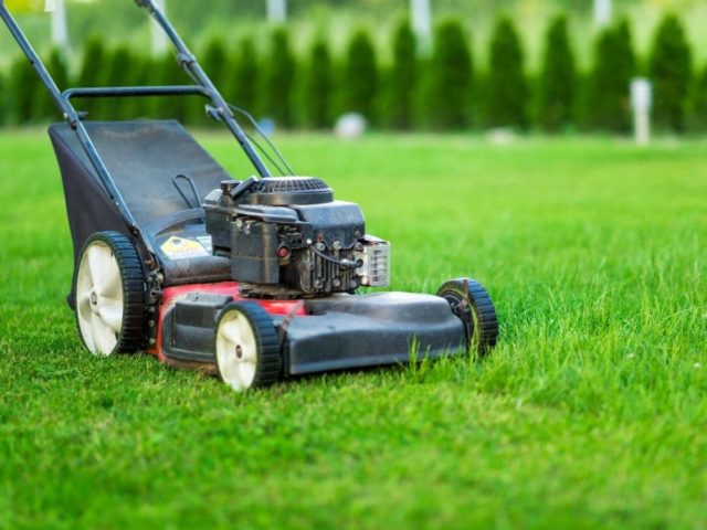 Can You Use Car Oil in a Lawn Mower? (All You Need to Know) – VehicleWhat